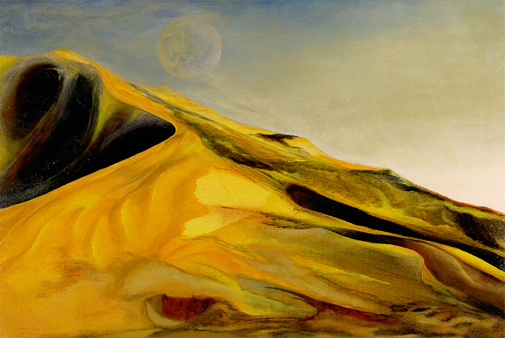 Die Wüste | 2004 | 60x40cm | Die meisten Menschen kennen die Wüste nur aus Filmen, Fotos oder Fachliteratur - ich auch!