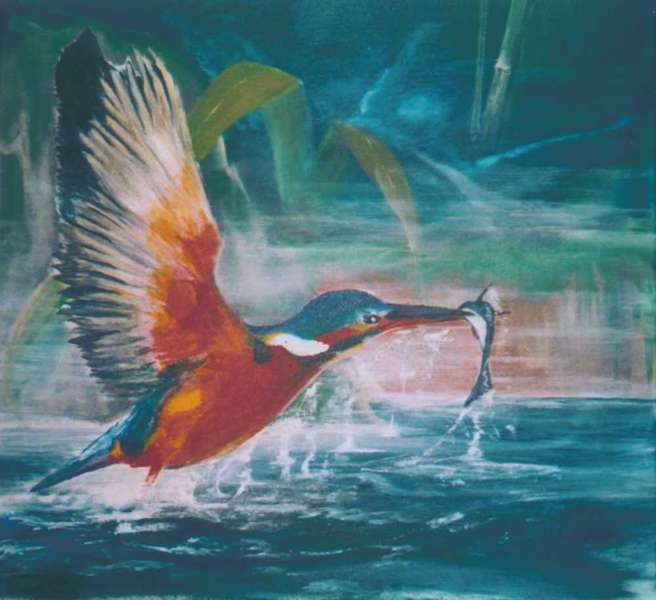 Der Eisvogel | 2005 | 50x50cm