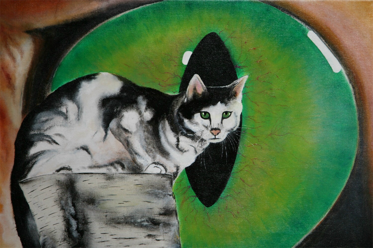 Kater Pascha wird beobachtet | 2009 | 60x40cm | Für Awin, die Mutter meiner Enkelkinder